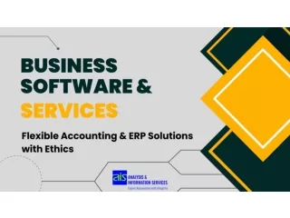 business software & services