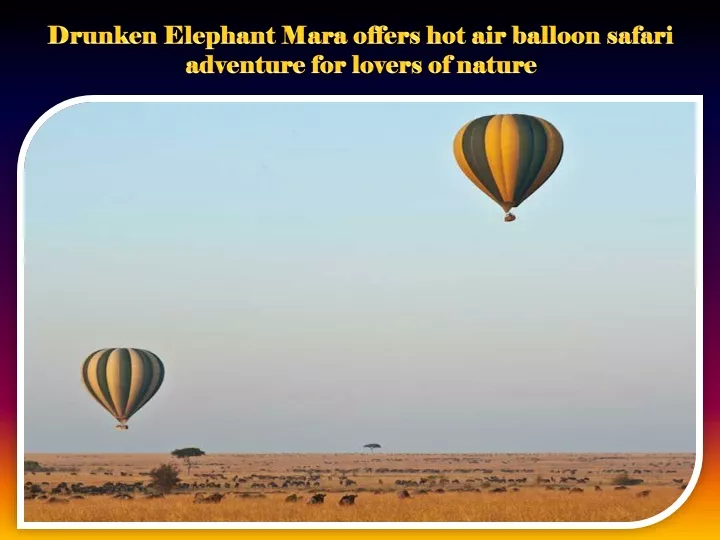 drunken elephant mara offers hot air balloon