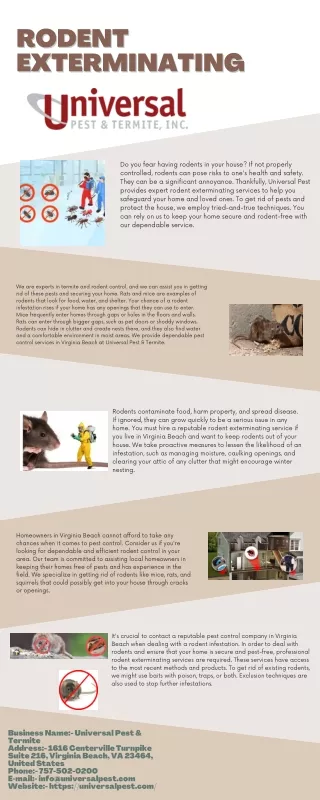 Get The Best Rodent Exterminating Service