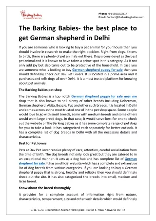 The Barking Babies- the best place to get German shepherd in Delhi