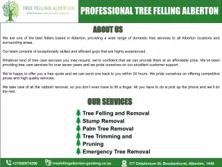 Professional Tree Felling Alberton | Alberton, Gauteng, South Africa