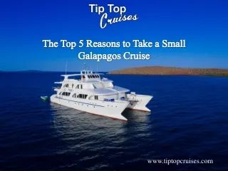 The Top 5 Reasons to Take a Small Galapagos Cruise