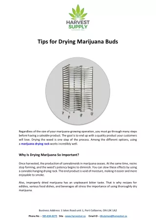 Tips for Drying Marijuana Buds