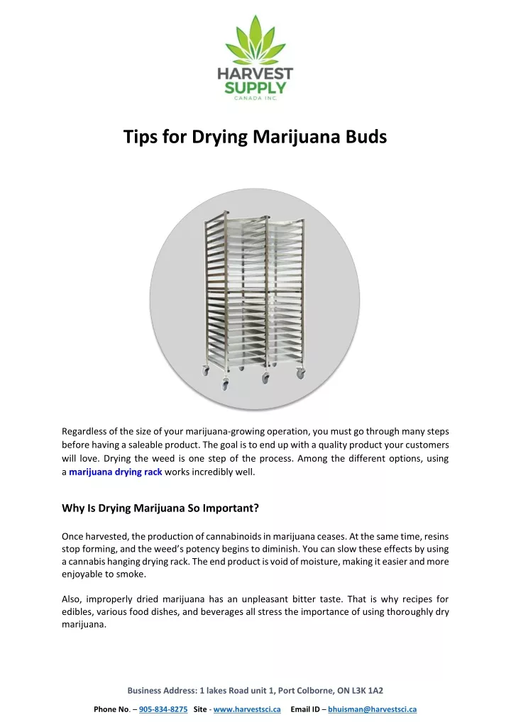 tips for drying marijuana buds