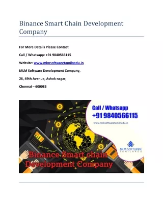 binance smart chain development company
