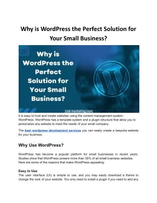 Why is WordPress the Perfect Solution for Your Small Business?