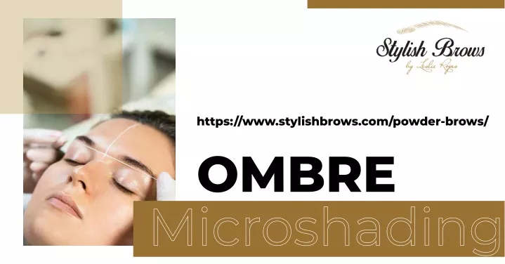 https www stylishbrows com powder brows