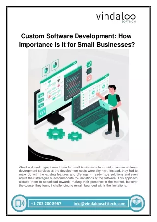 Custom Software Development: How Importance is it for Small Businesses?