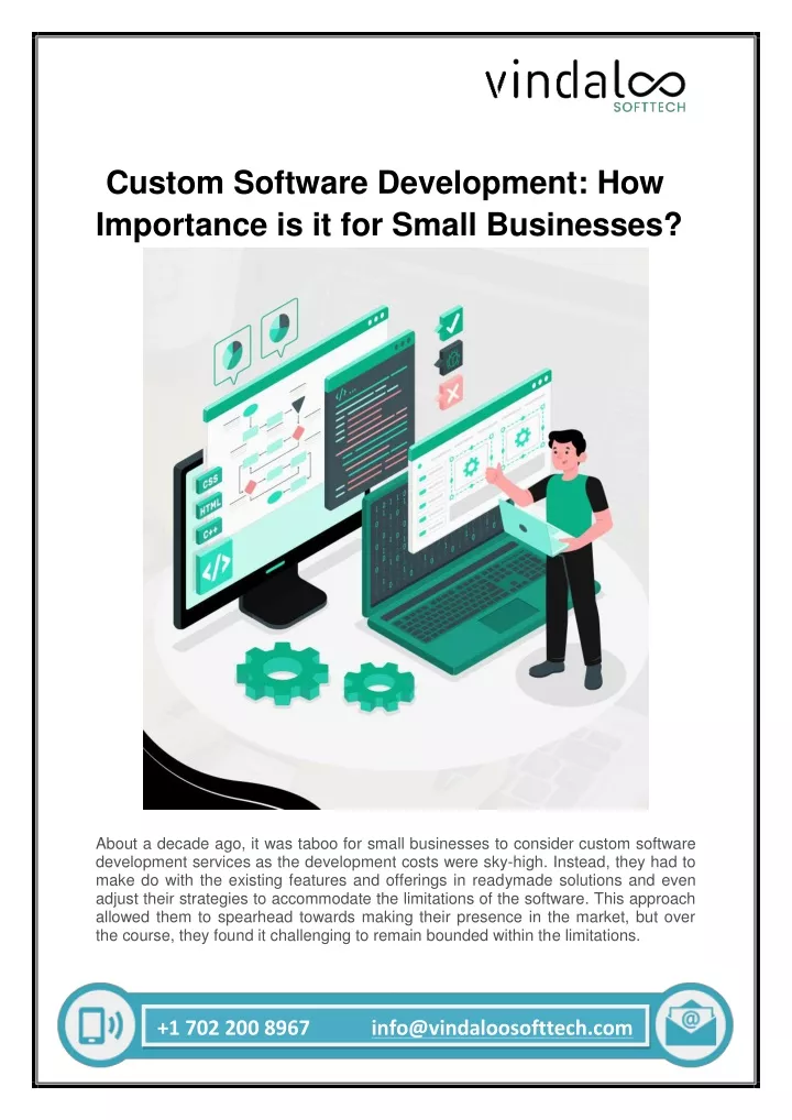 custom software development how importance