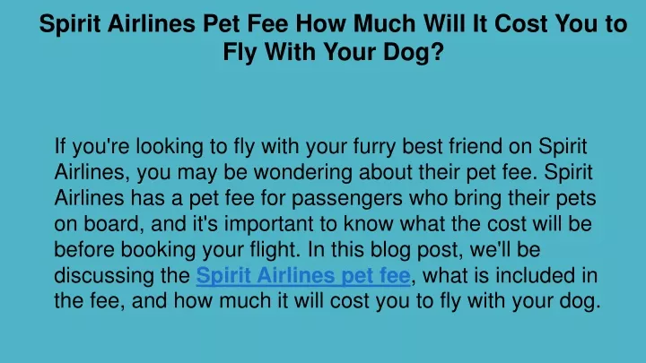 spirit airlines pet fee how much will it cost