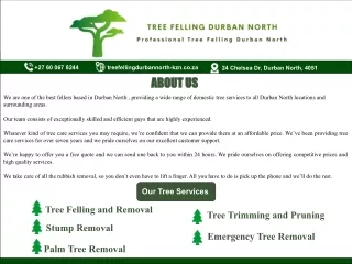 Professional Tree Felling Durban North | Durban North,  South Africa