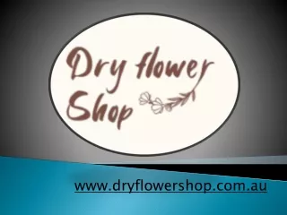 Buy Cheap Dried Flowers Online Australia