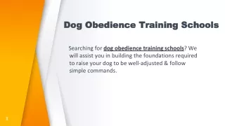 Dog Obedience Training Schools
