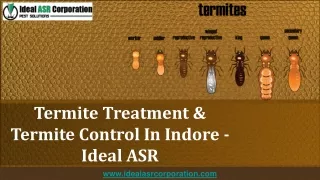 Termite Treatment & Termite Control In Indore - Ideal ASR