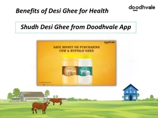 Buy Shudh Desi Ghee online in Delhi NCR
