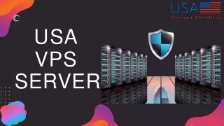 USA Server Hosting Offers Cheapest USA VPS Server