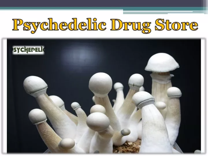 psychedelic drug store