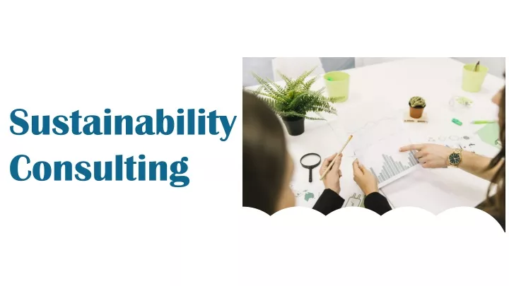 sustainability consulting