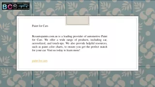 paint for cars bcsautopaints com au is a leading