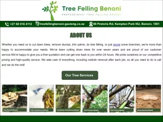 Professional Tree Felling Benoni | Benoni, Gauteng, South Africa