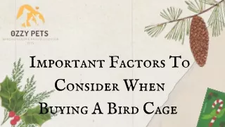 Bird Cage Warehouse