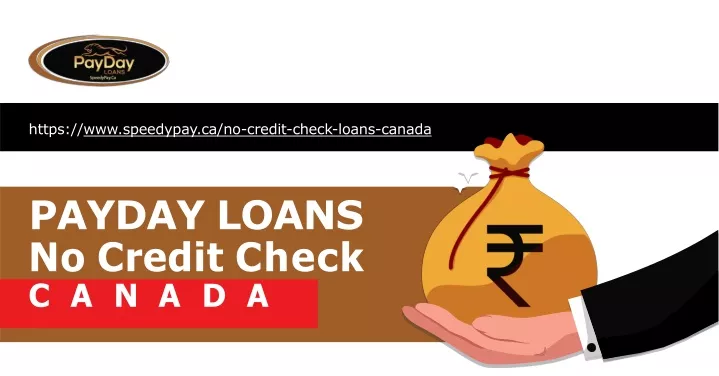 https www speedypay ca no credit check loans
