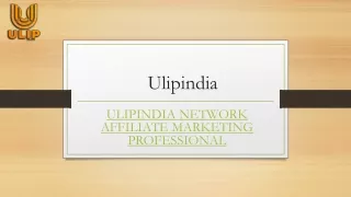Ulipindia Network Affiliate Marketing Professional | Ulipindia.com