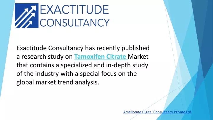 exactitude consultancy has recently published