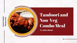 Tandoori and Non-Veg Combo Meal in Jalan Besar