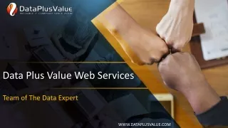 Outsourcing Data Service Company - Data Plus Value