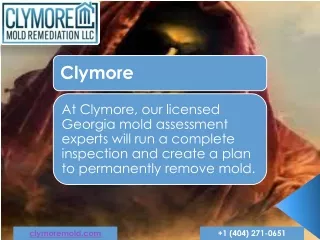 Clymore - Mold Removal Atlanta