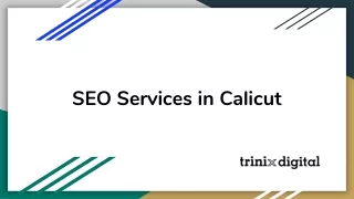 seo services in calicut