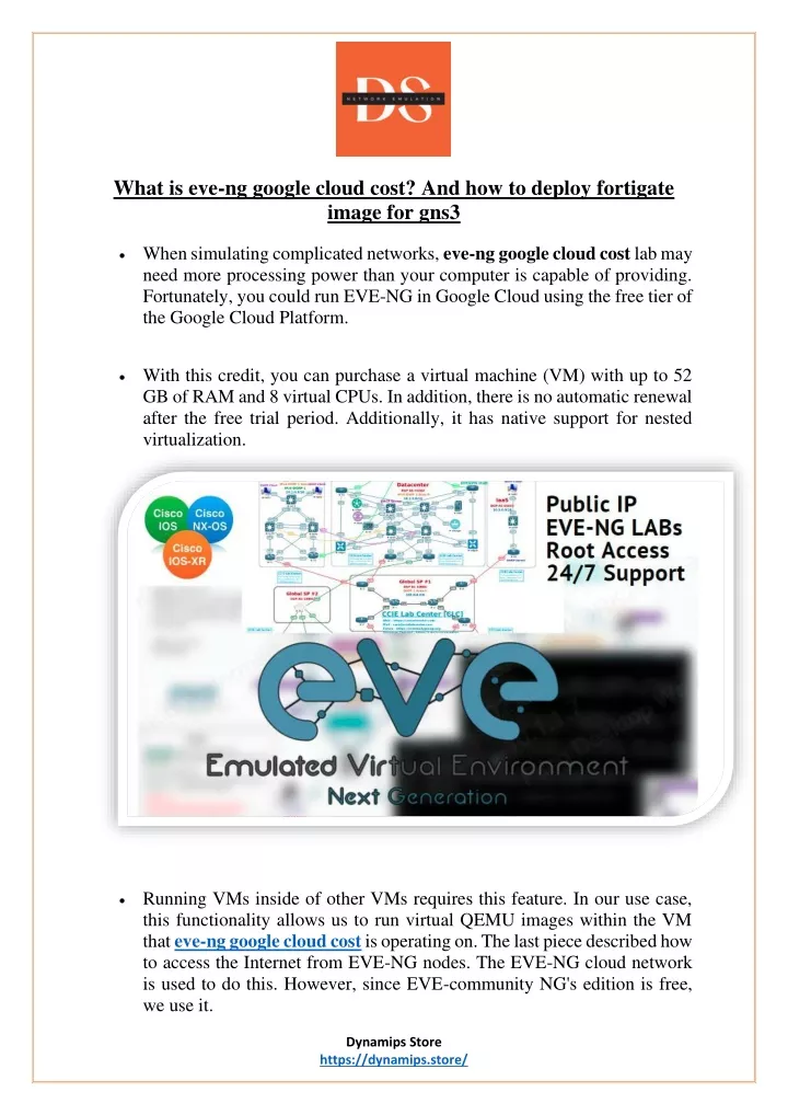 what is eve ng google cloud cost