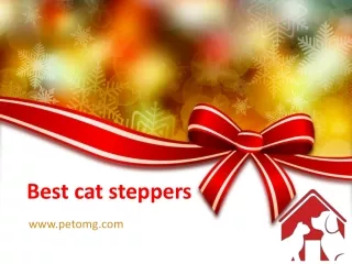 Best cat steppers
