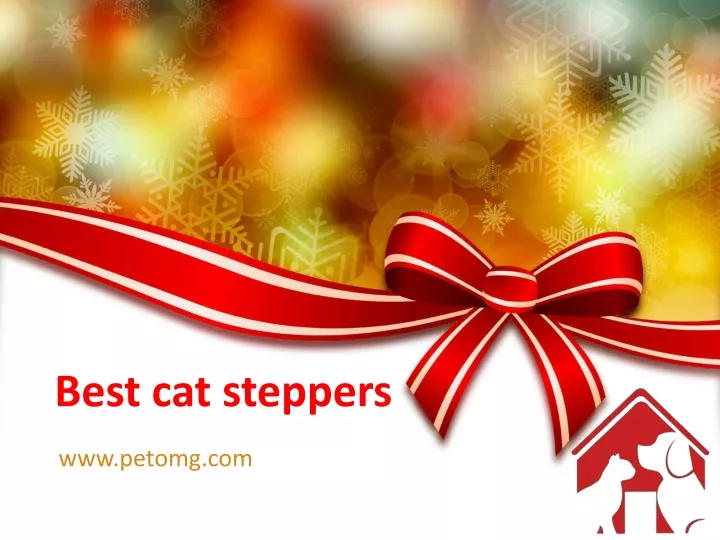 best cat steppers