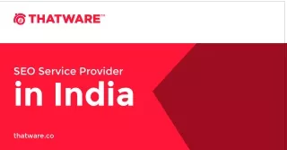Top SEO Service Provider in India