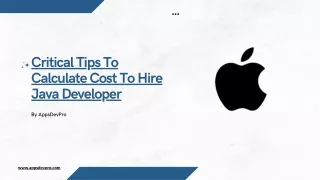 critical tips to calculate cost to hire java