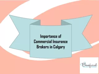 Importance of Commercial Insurance Brokers in Calgary
