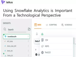 using snowflake analytics is important from a technological perspective