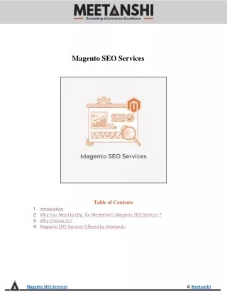 magento seo services