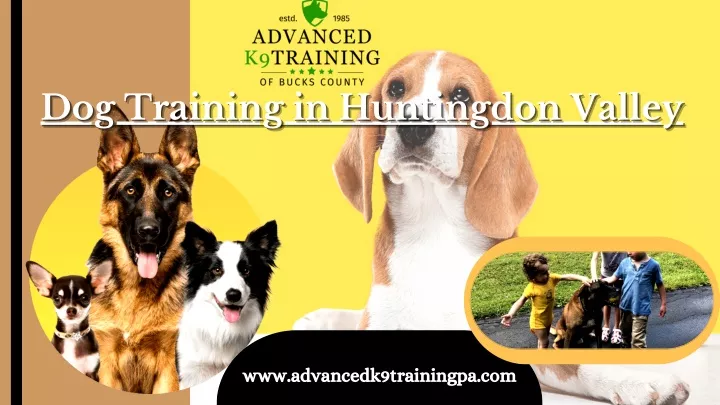 dog training in huntingdon valley dog training