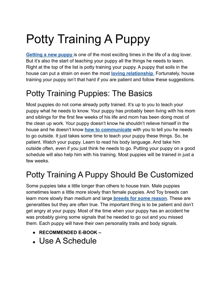 potty training a puppy