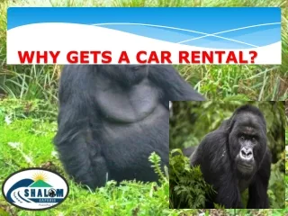 Why gets a car rental?