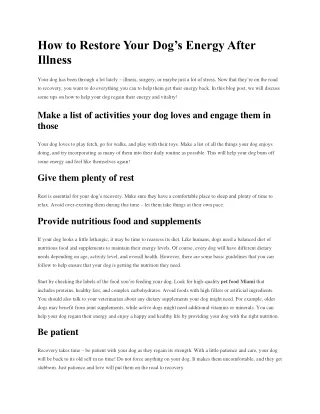How to Restore Your Dog's Energy After Illness - The Love Pets