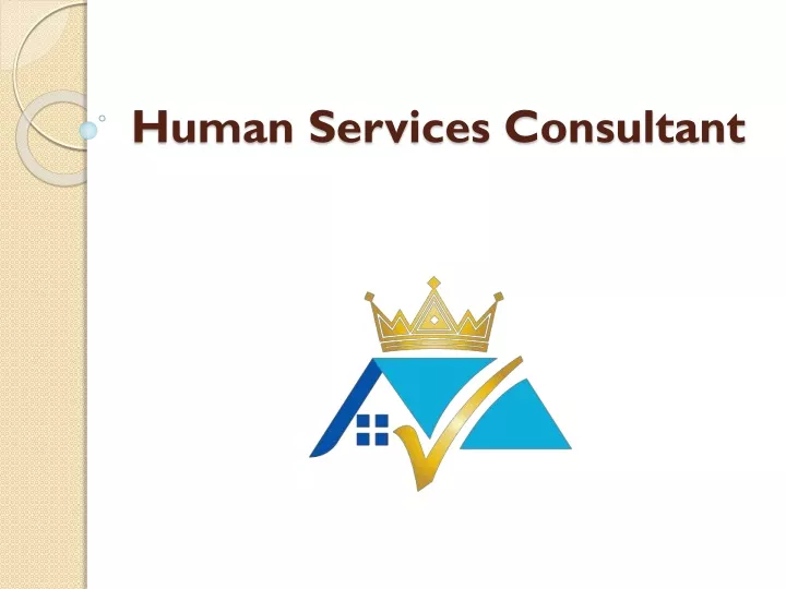 human services consultant