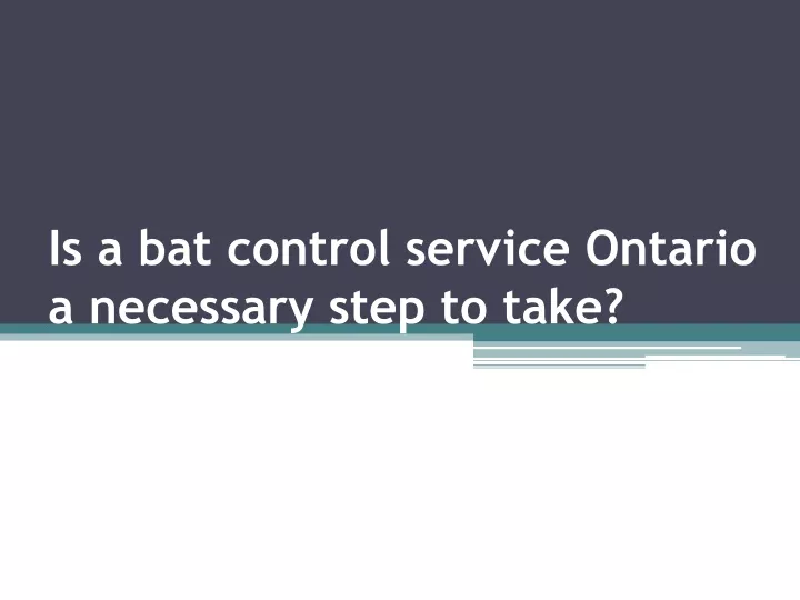is a bat control service ontario a necessary step to take
