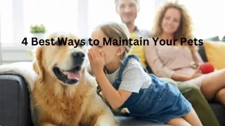 4 Best Ways to Maintain Your Pets