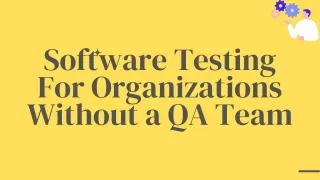 Software Testing For Organizations Without a QA Team - Test Evolve