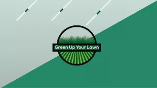How To Make Your Grass Green Fast With Some Simple Tips?
