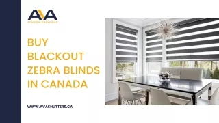 Buy Blackout Zebra Blinds in Canada - Ava Window Fashion